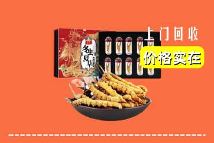 寿宁县回收冬虫夏草